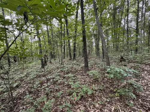 1614 Warner Bridge Rd, Shelbyville, TN  37160