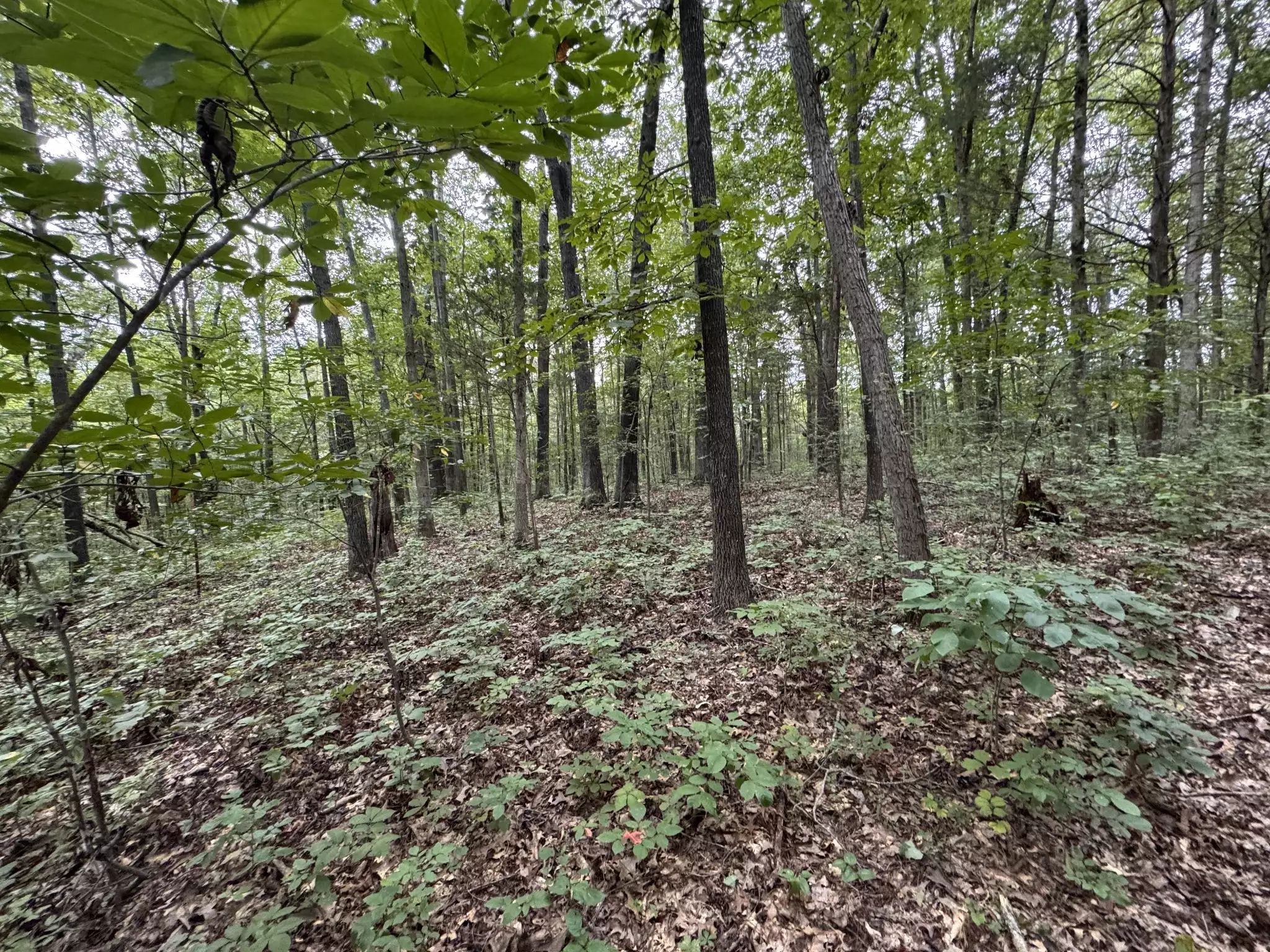 1614 Warner Bridge Rd, Shelbyville, TN  37160