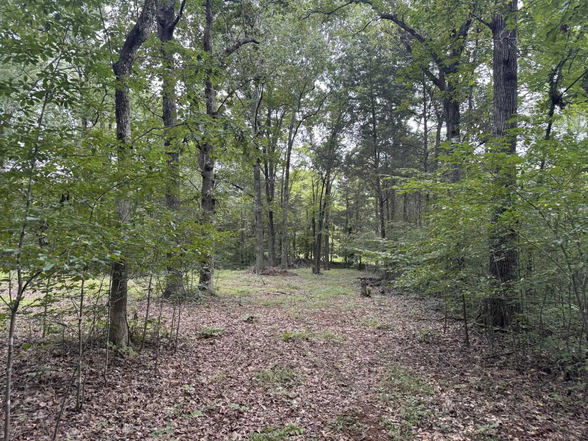 1614 Warner Bridge Rd, Shelbyville, TN  37160