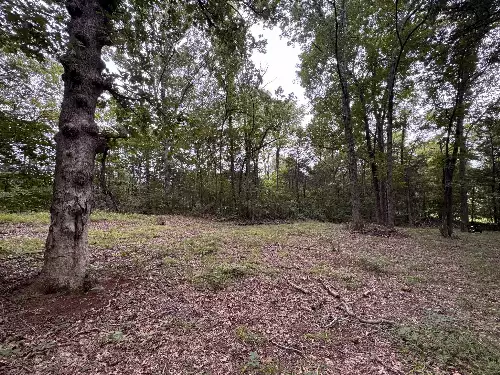 1614 Warner Bridge Rd, Shelbyville, TN  37160