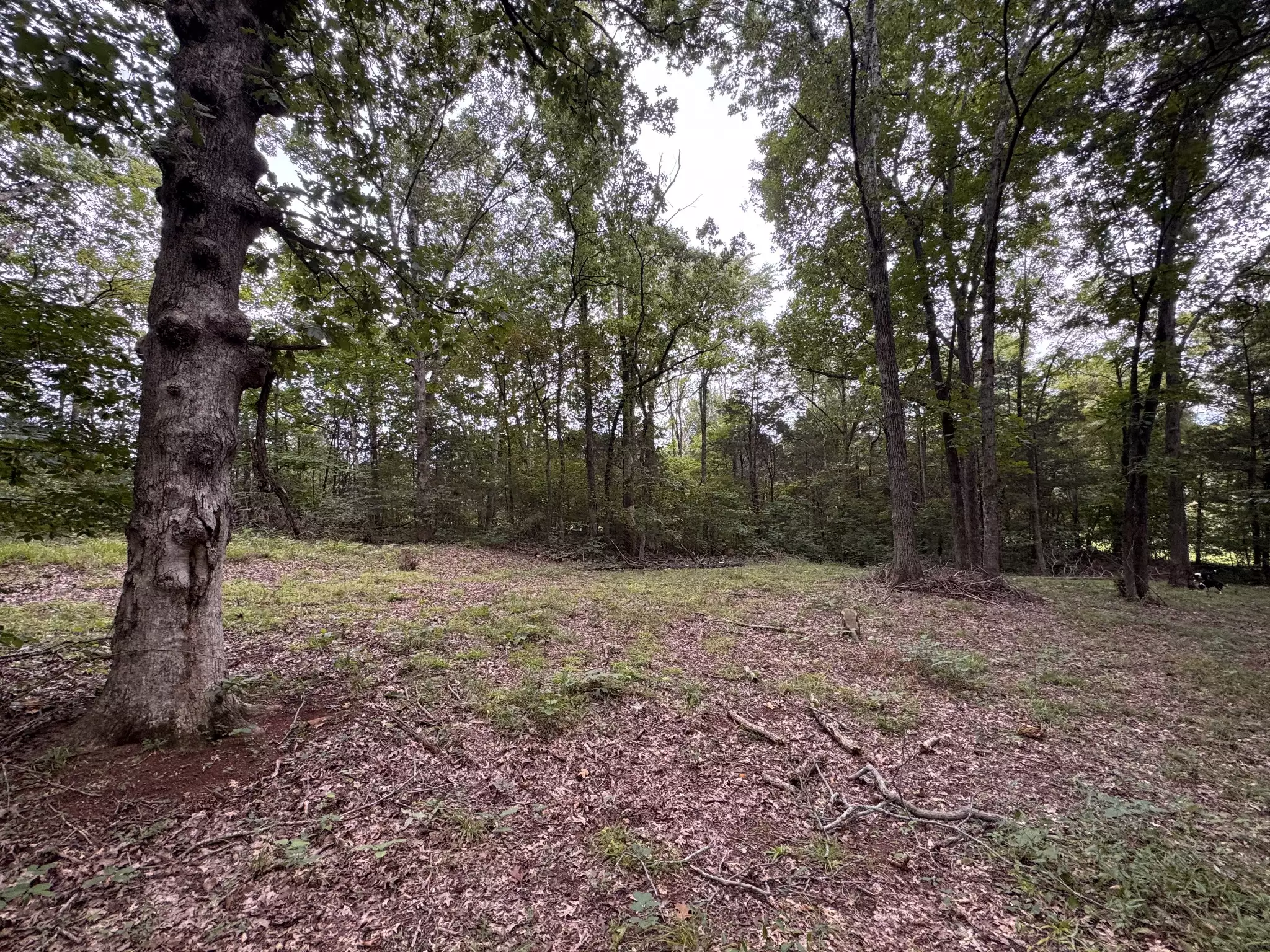 1614 Warner Bridge Rd, Shelbyville, TN  37160