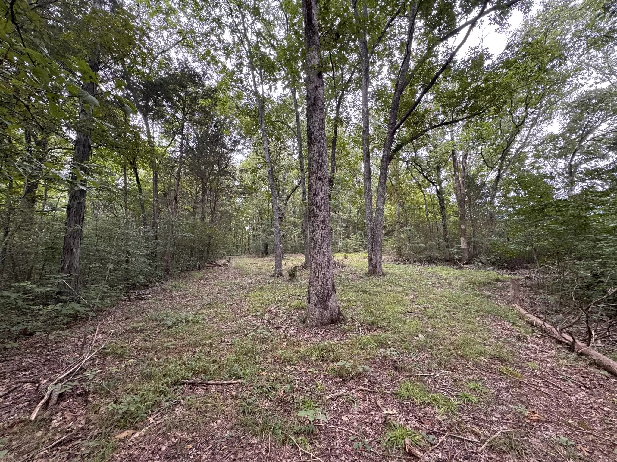 1614 Warner Bridge Rd, Shelbyville, TN  37160