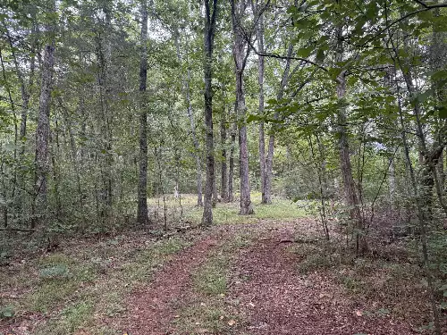 1614 Warner Bridge Rd, Shelbyville, TN  37160