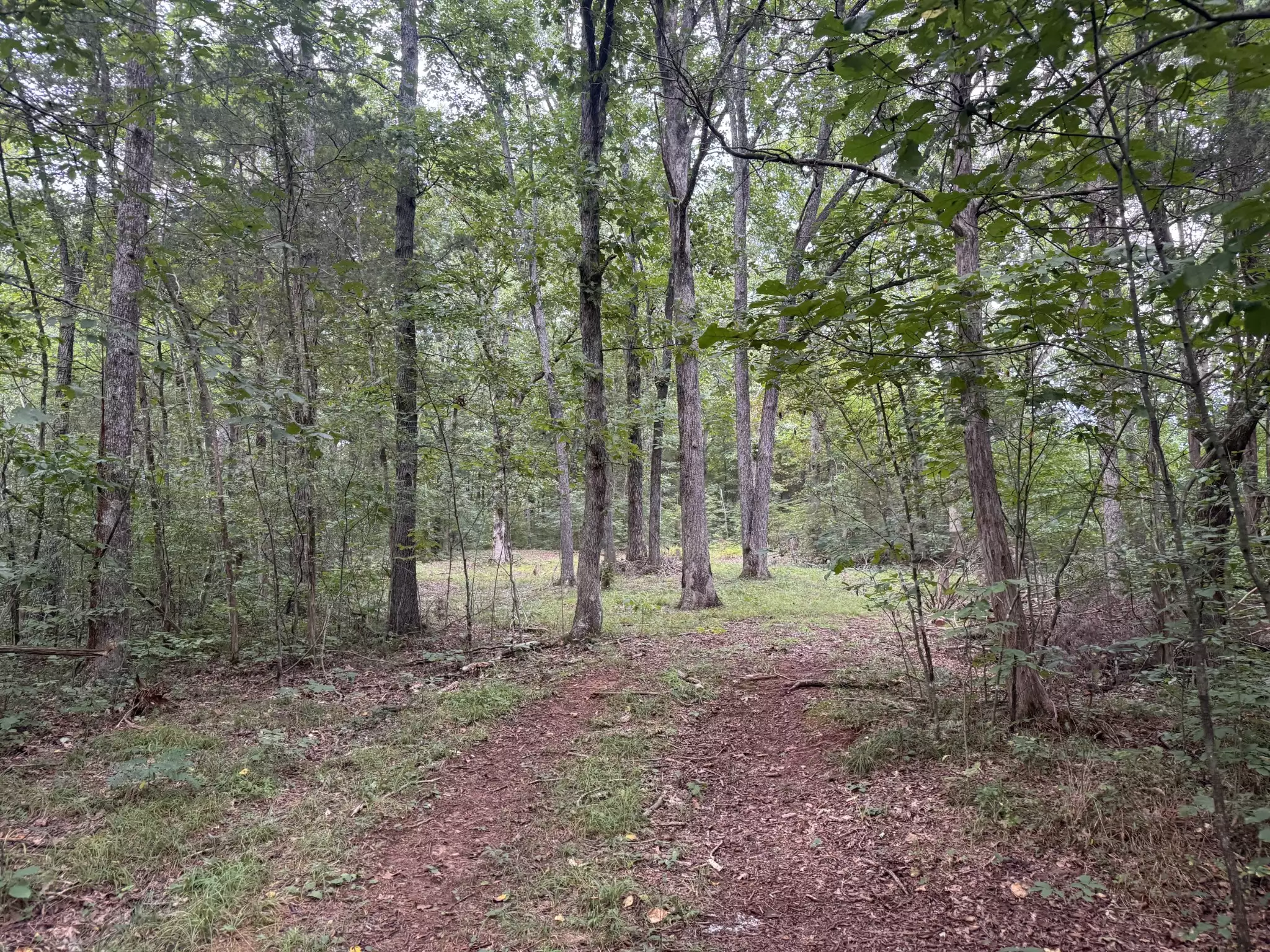 1614 Warner Bridge Rd, Shelbyville, TN  37160