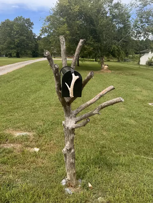 1614 Warner Bridge Rd, Shelbyville, TN  37160