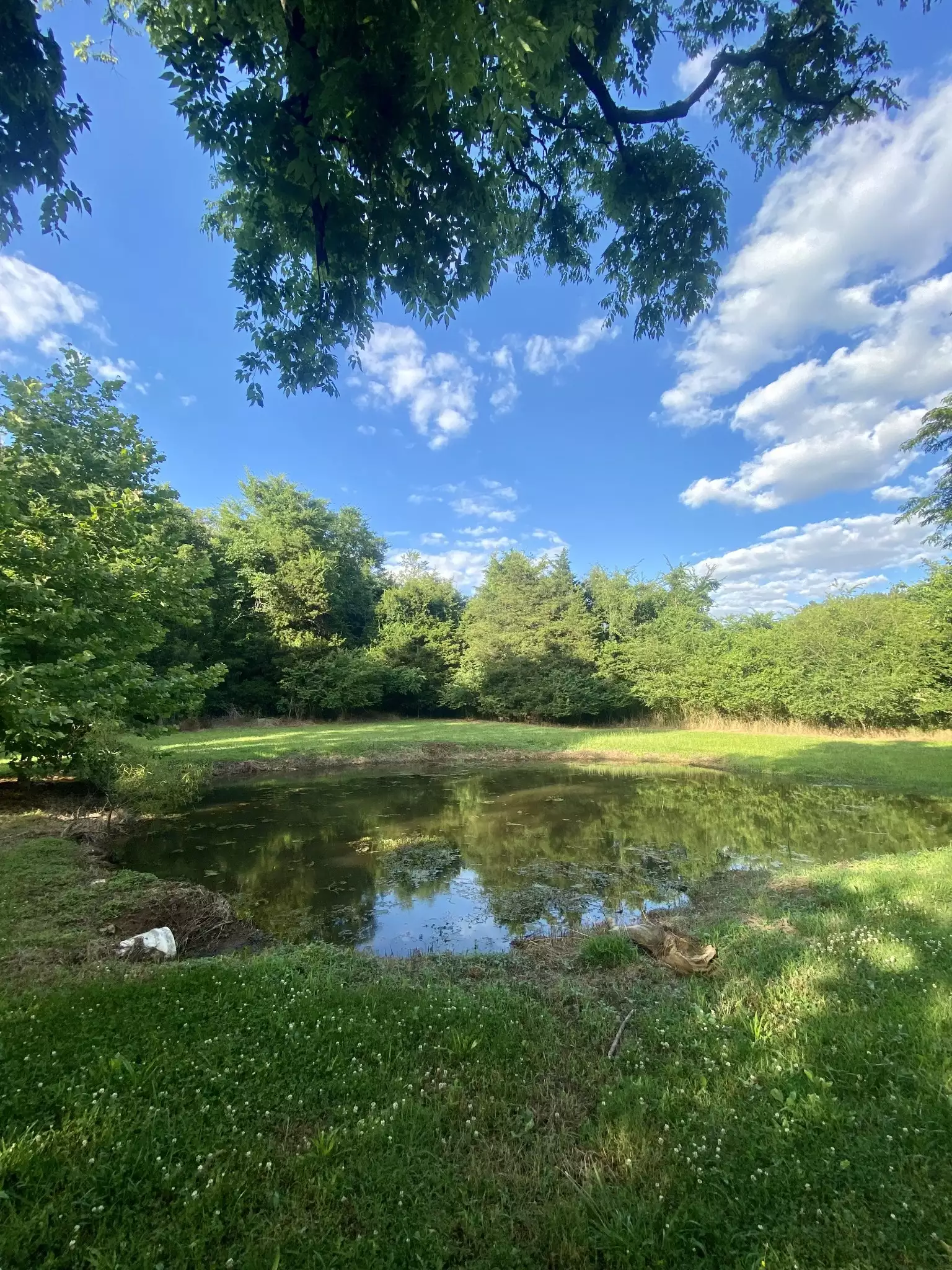 1614 Warner Bridge Rd, Shelbyville, TN  37160