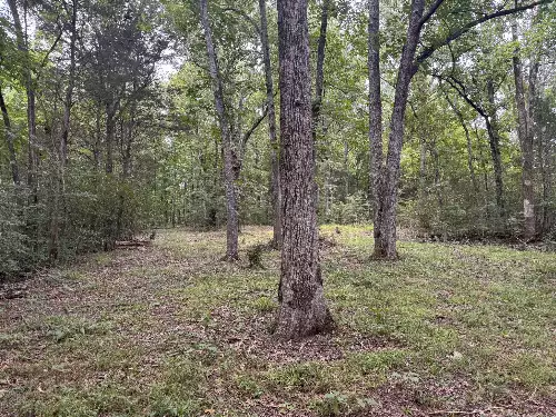 1614 Warner Bridge Rd, Shelbyville, TN  37160