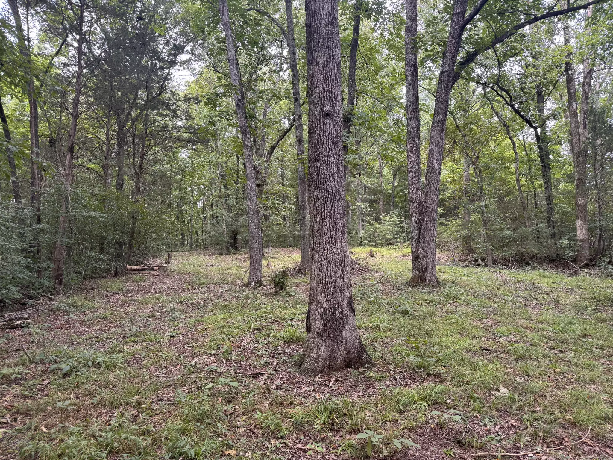 1614 Warner Bridge Rd, Shelbyville, TN  37160