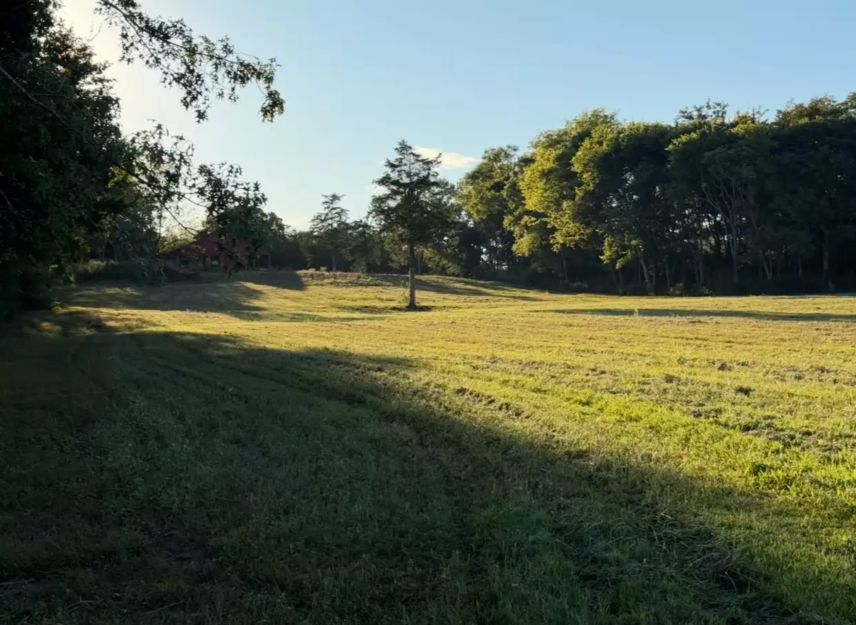 Minkslide Rd, Bell Buckle, TN  37020