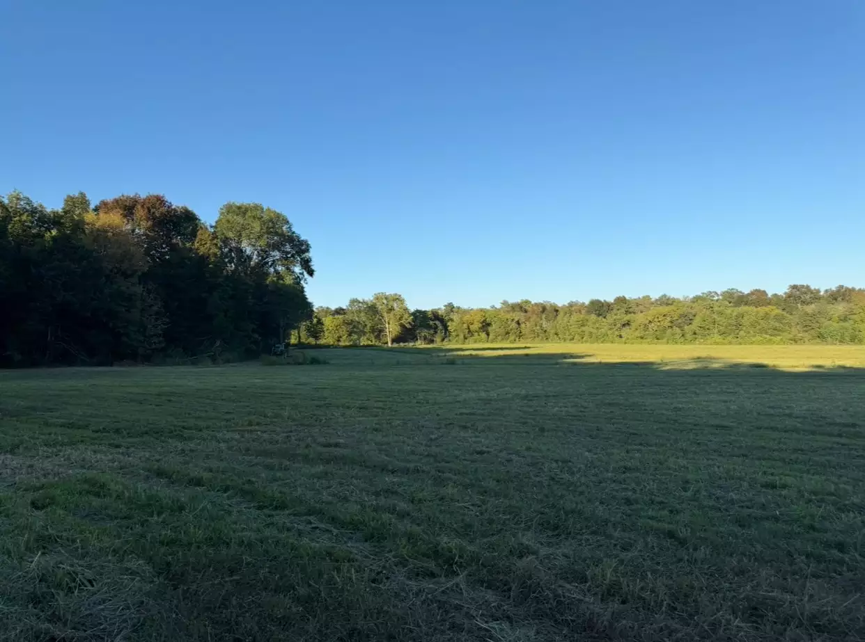 Minkslide Rd, Bell Buckle, TN  37020