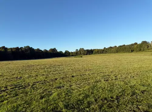 Minkslide Rd, Bell Buckle, TN  37020