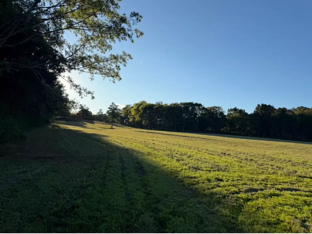 Minkslide Rd, Bell Buckle, TN  37020