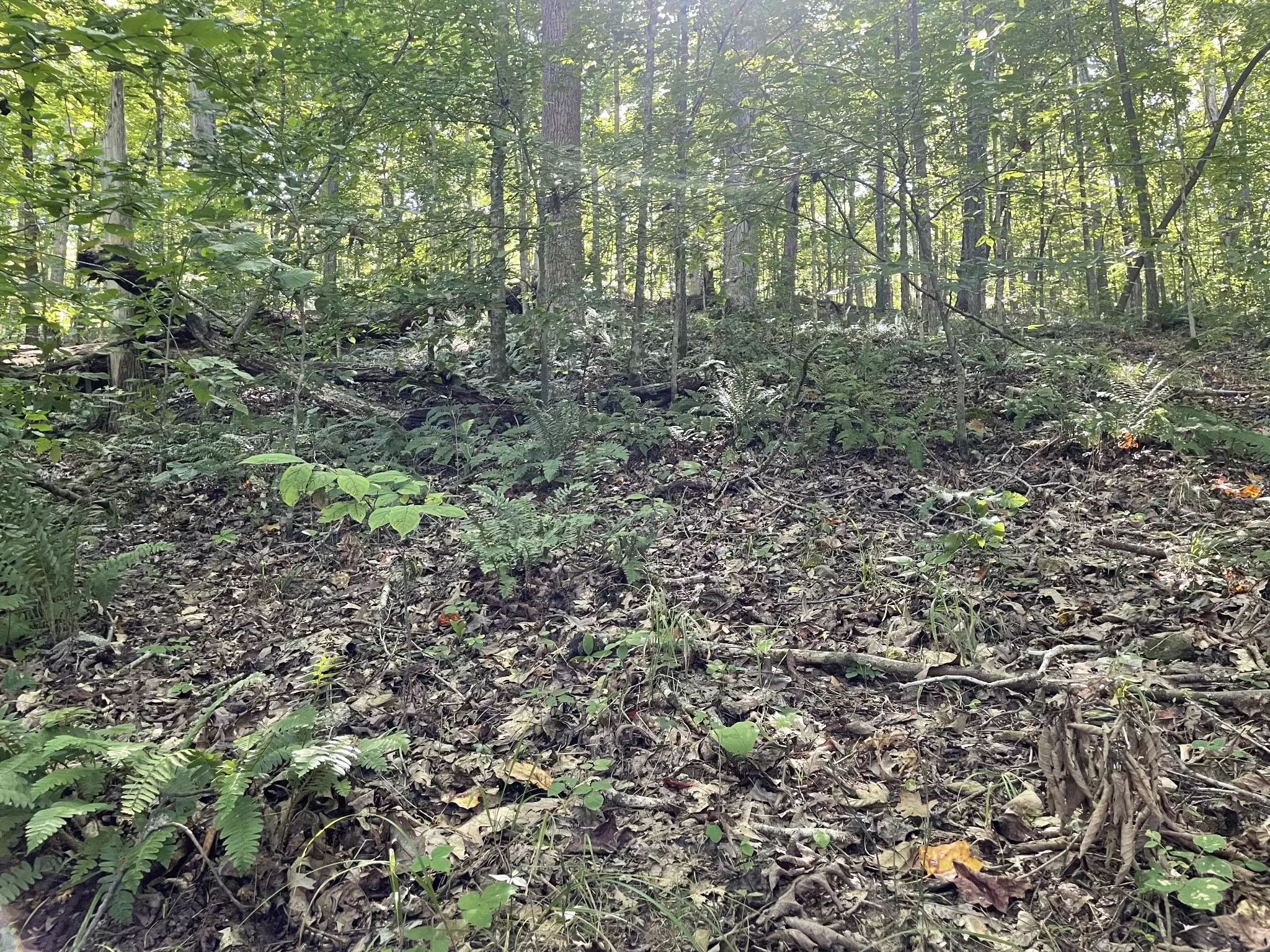 740 Hogans Branch Rd, Hendersonville, TN  37075