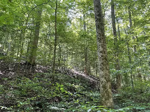 740 Hogans Branch Rd, Hendersonville, TN  37075