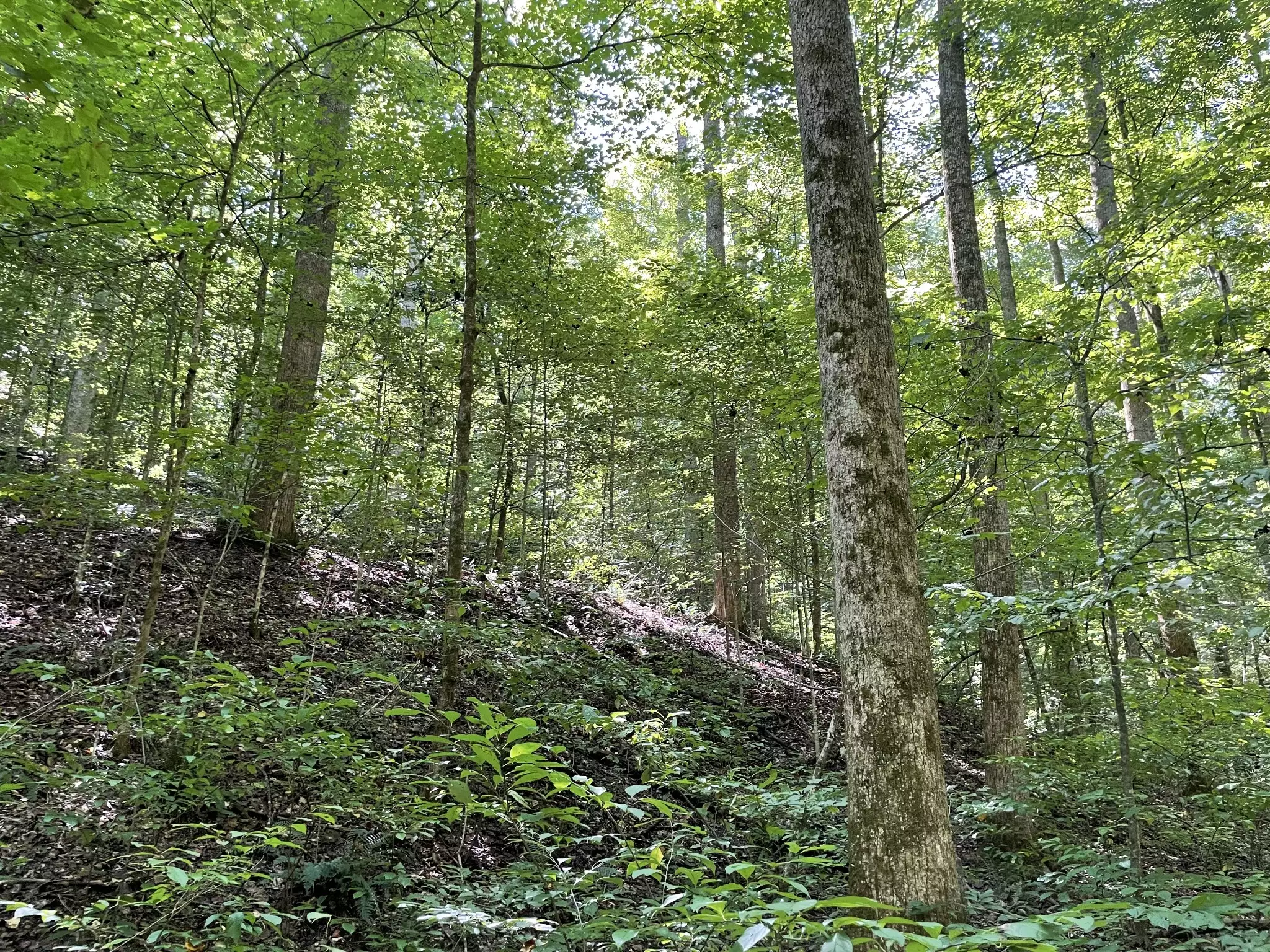 740 Hogans Branch Rd, Hendersonville, TN  37075