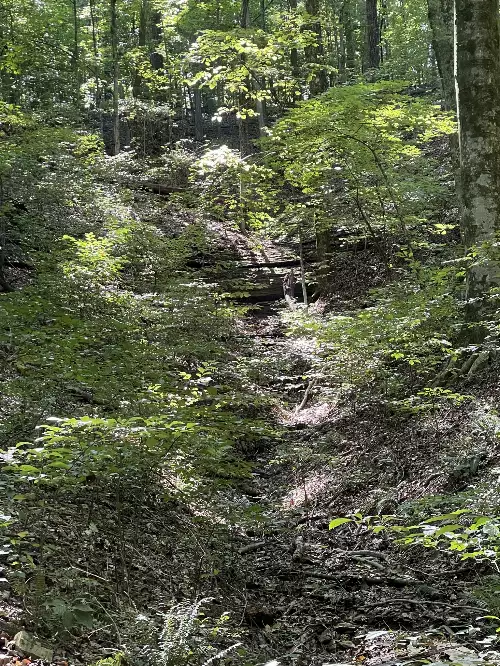 740 Hogans Branch Rd, Hendersonville, TN  37075