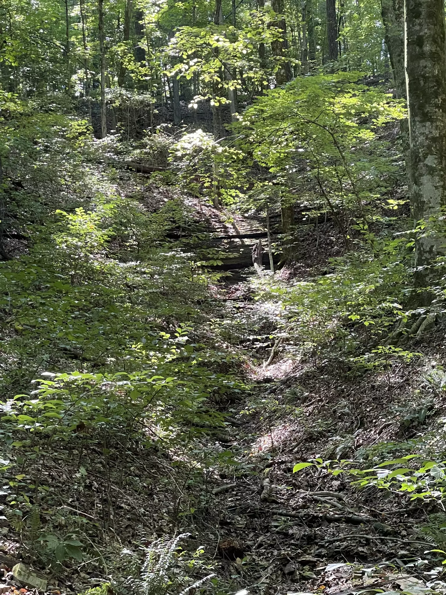 740 Hogans Branch Rd, Hendersonville, TN  37075