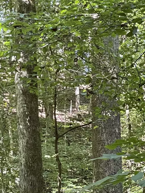 740 Hogans Branch Rd, Hendersonville, TN  37075