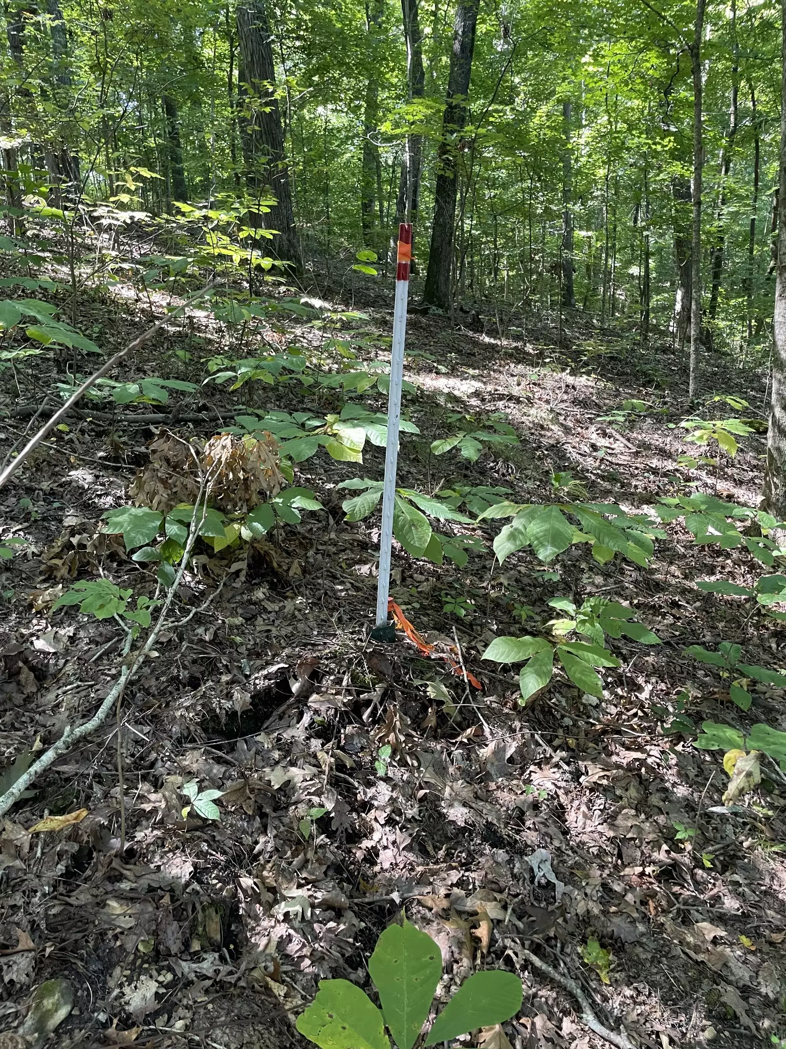 740 Hogans Branch Rd, Hendersonville, TN  37075