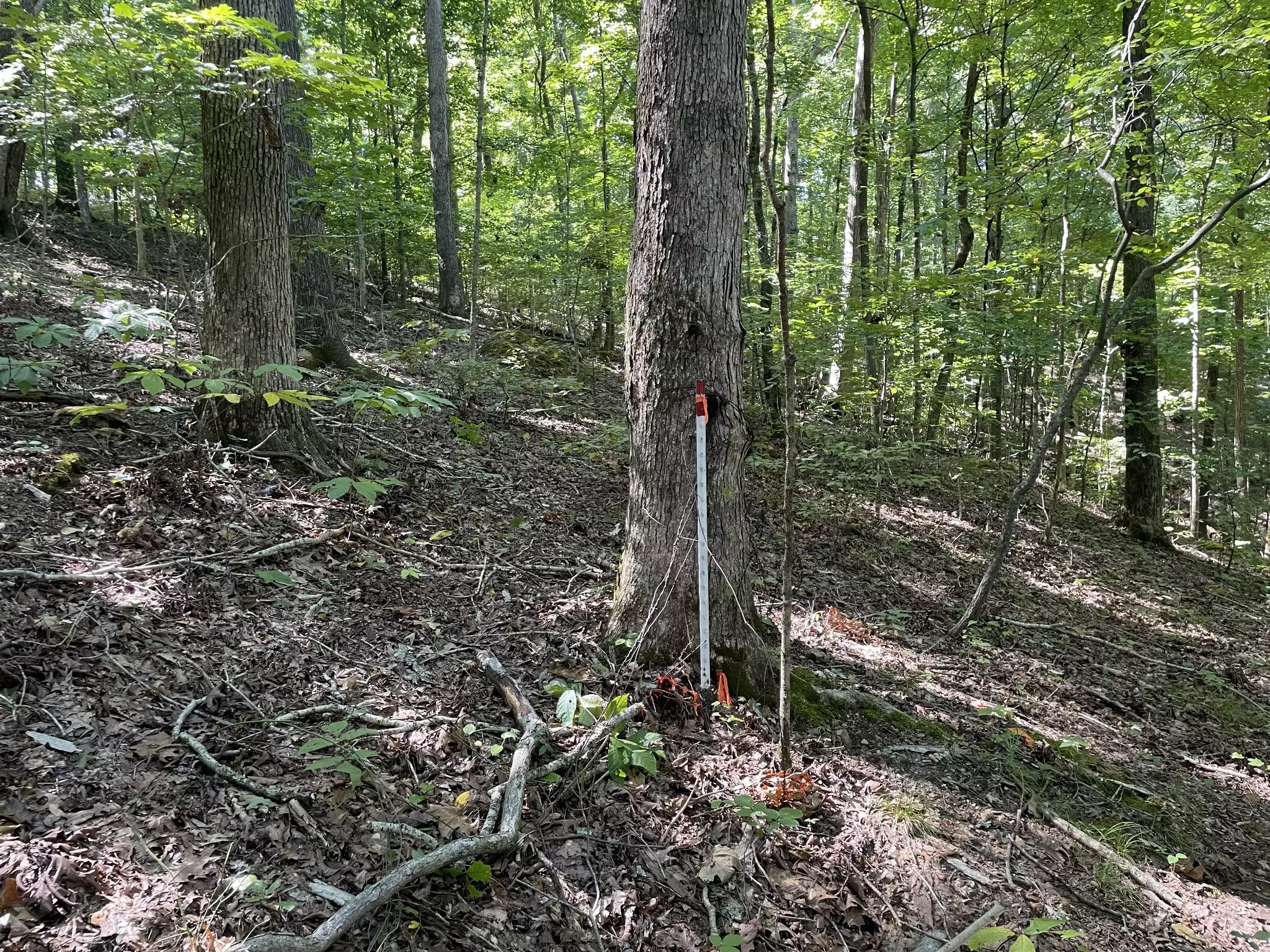 740 Hogans Branch Rd, Hendersonville, TN  37075