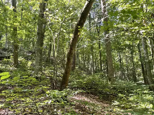 740 Hogans Branch Rd, Hendersonville, TN  37075