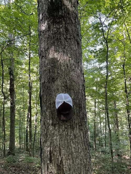 740 Hogans Branch Rd, Hendersonville, TN  37075