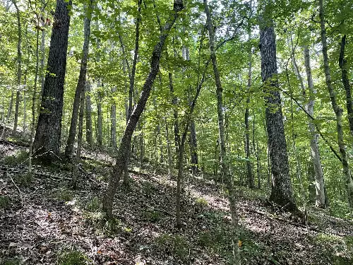 740 Hogans Branch Rd, Hendersonville, TN  37075