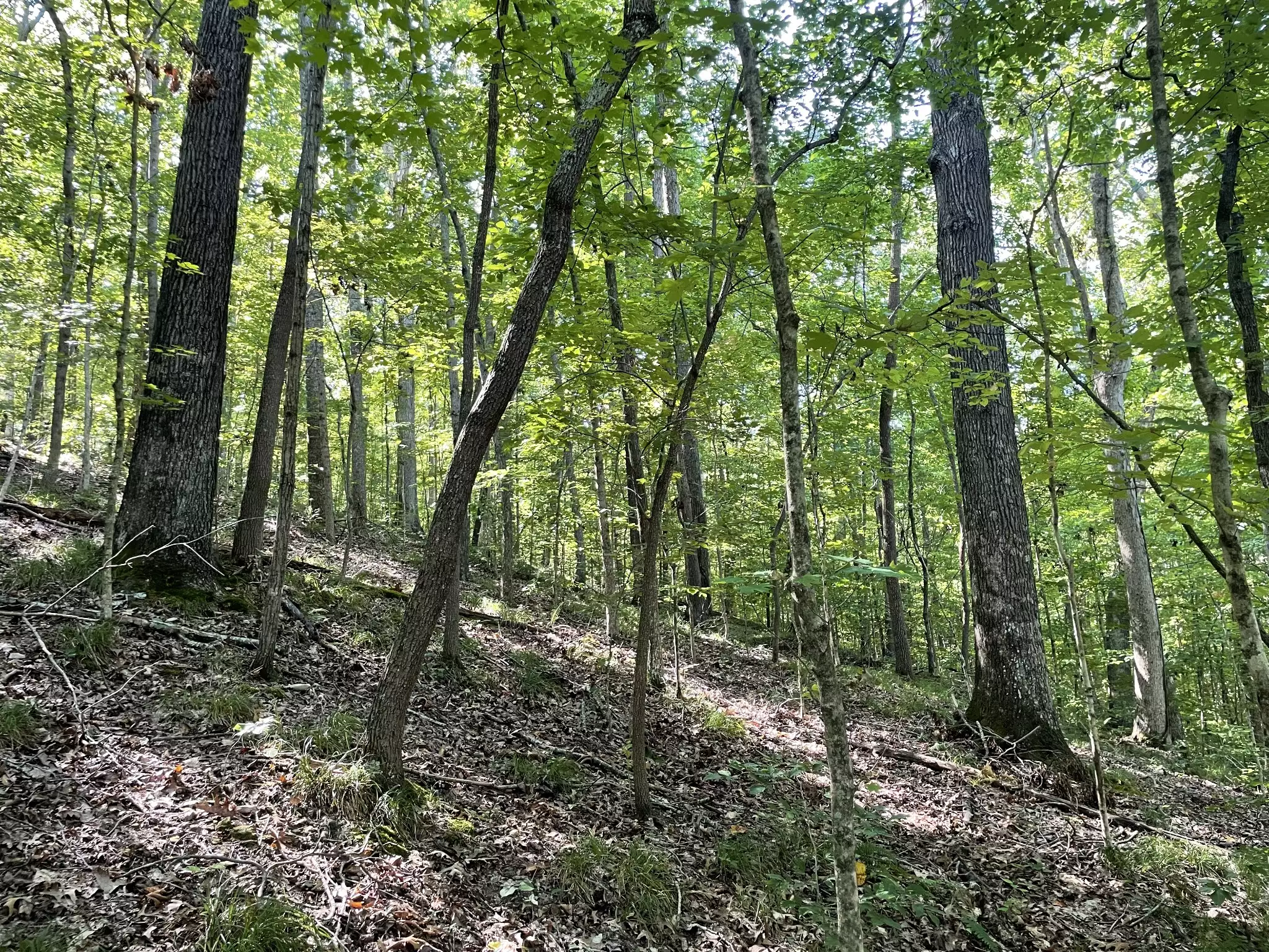 740 Hogans Branch Rd, Hendersonville, TN  37075