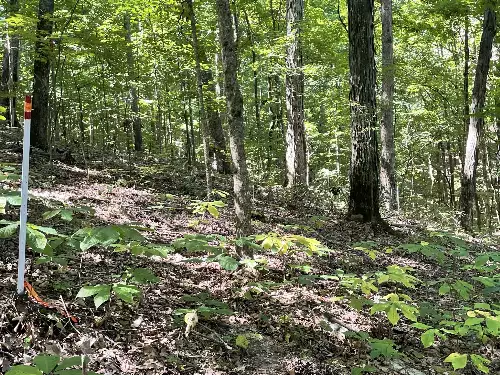 740 Hogans Branch Rd, Hendersonville, TN  37075