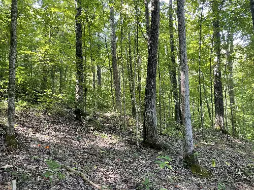 740 Hogans Branch Rd, Hendersonville, TN  37075