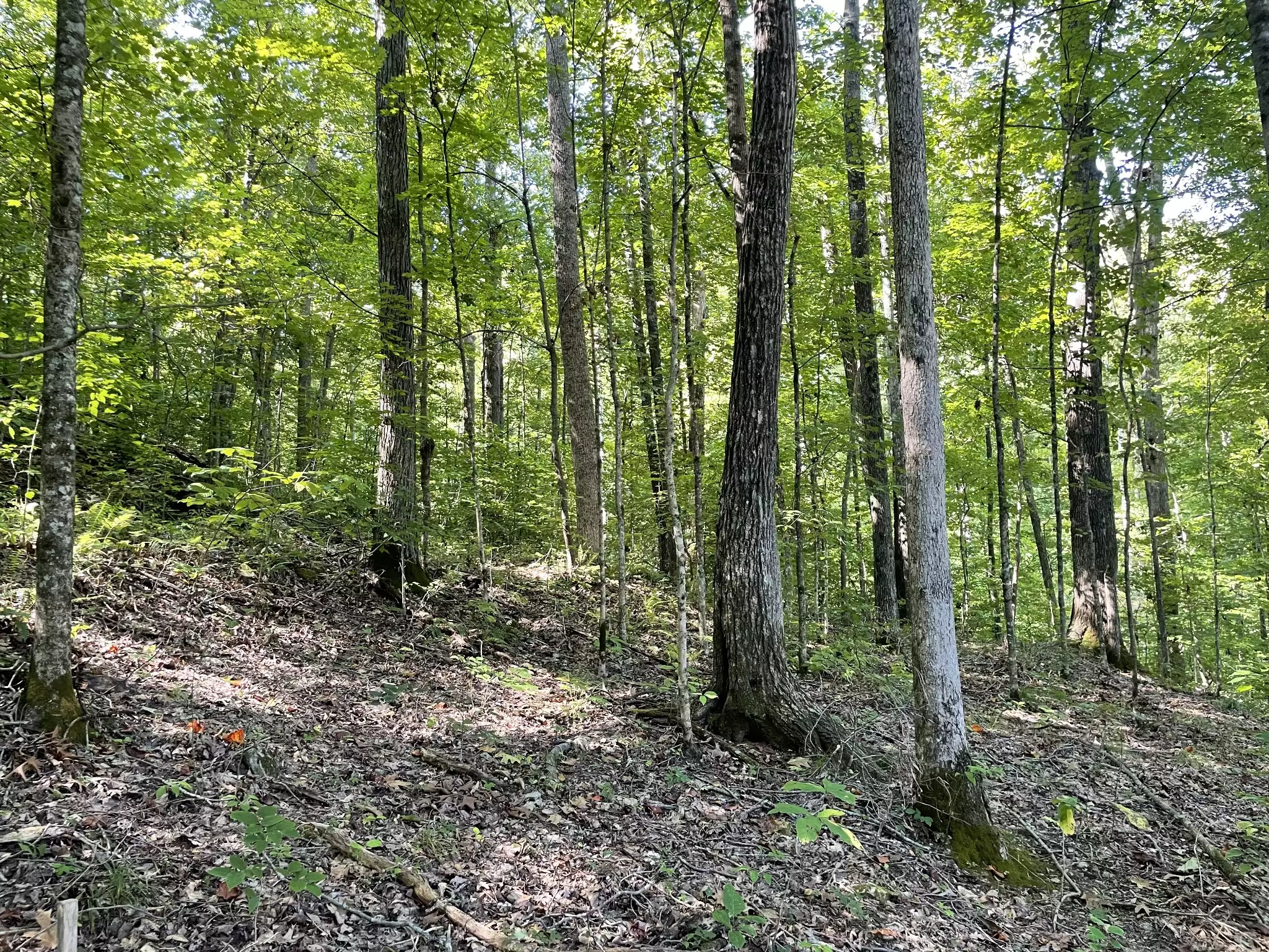 740 Hogans Branch Rd, Hendersonville, TN  37075