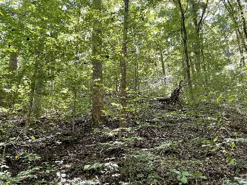 740 Hogans Branch Rd, Hendersonville, TN  37075