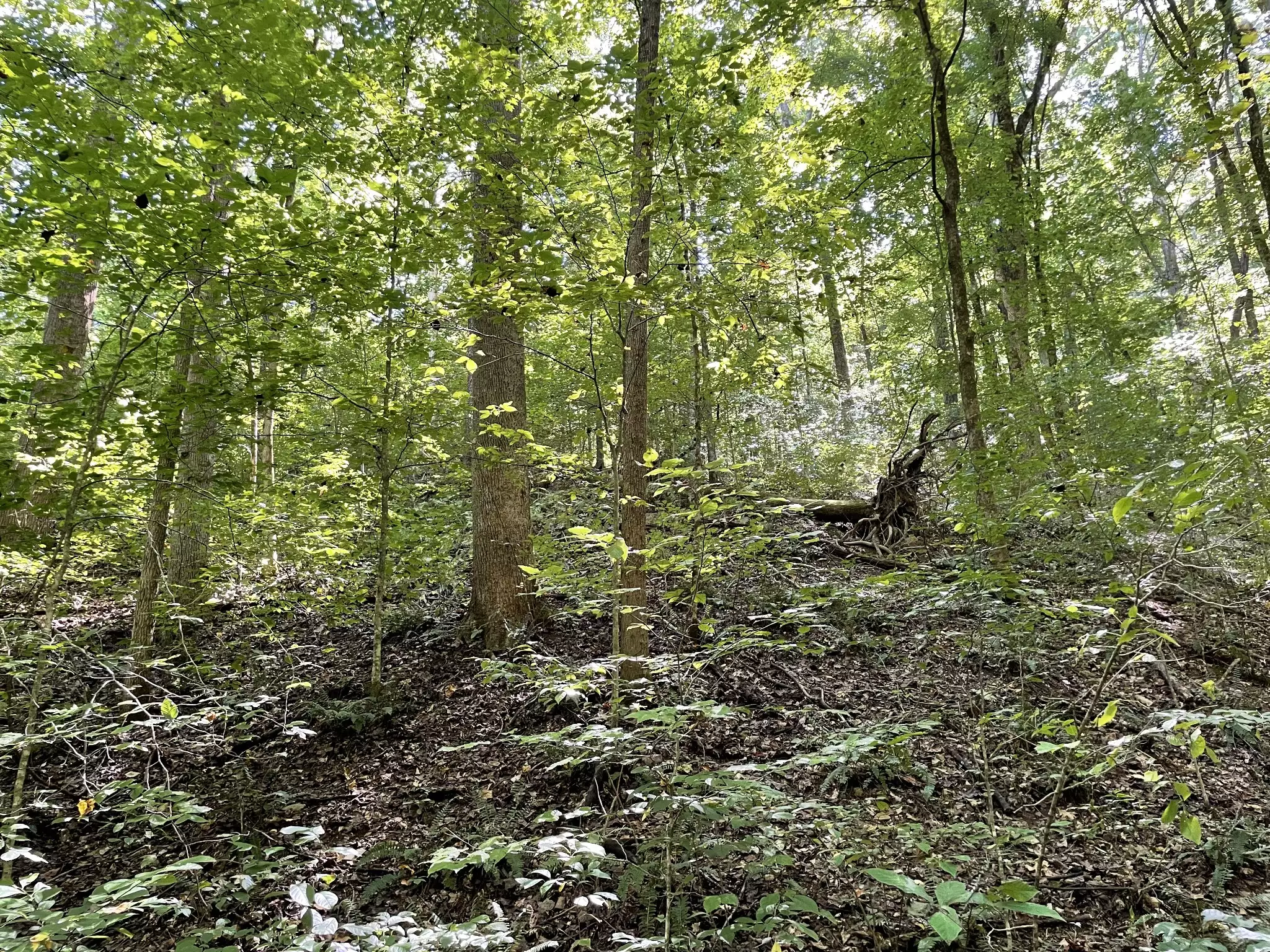 740 Hogans Branch Rd, Hendersonville, TN  37075