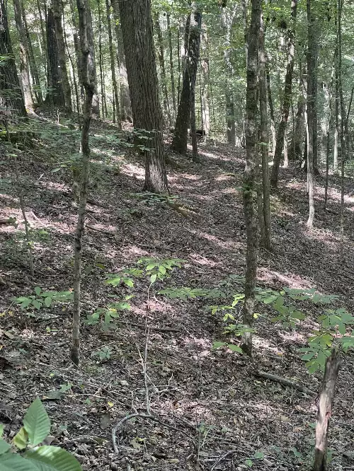 740 Hogans Branch Rd, Hendersonville, TN  37075