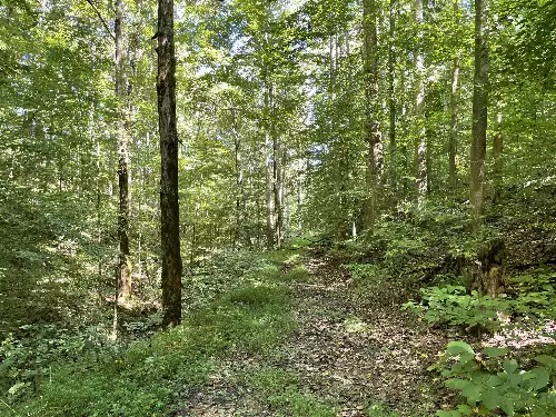 740 Hogans Branch Rd, Hendersonville, TN  37075