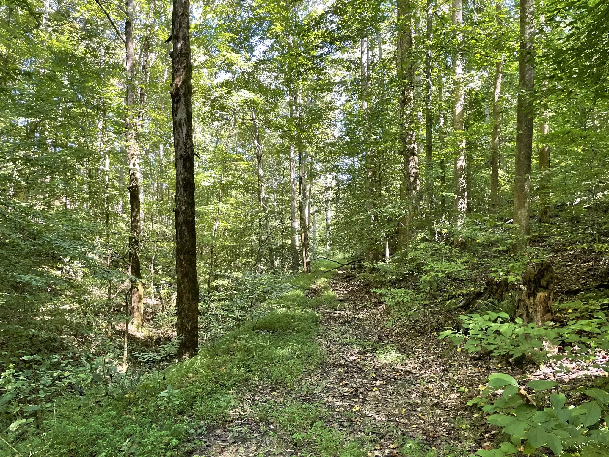 740 Hogans Branch Rd, Hendersonville, TN  37075