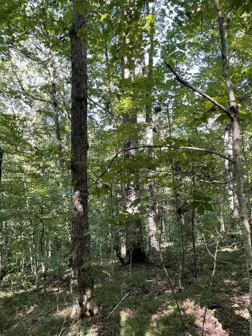 740 Hogans Branch Rd, Hendersonville, TN  37075