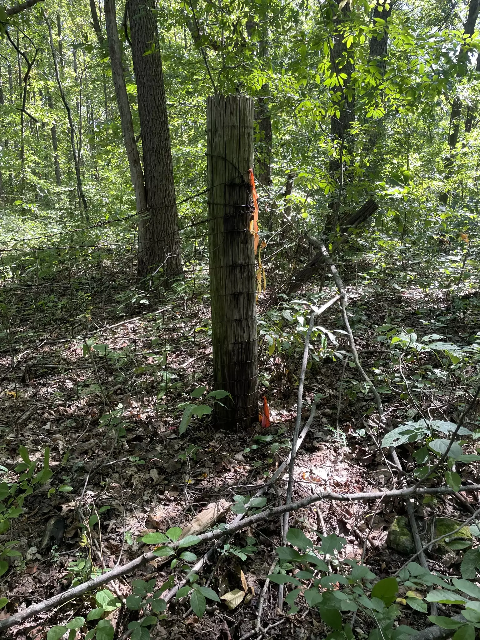 740 Hogans Branch Rd, Hendersonville, TN  37075