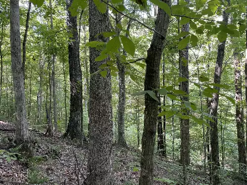 740 Hogans Branch Rd, Hendersonville, TN  37075