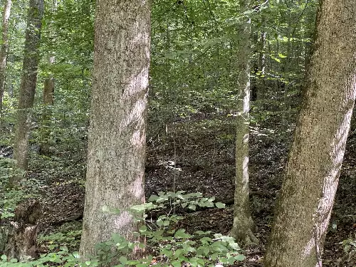 740 Hogans Branch Rd, Hendersonville, TN  37075