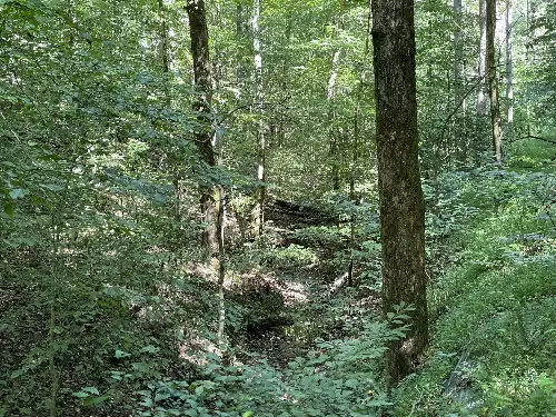 740 Hogans Branch Rd, Hendersonville, TN  37075