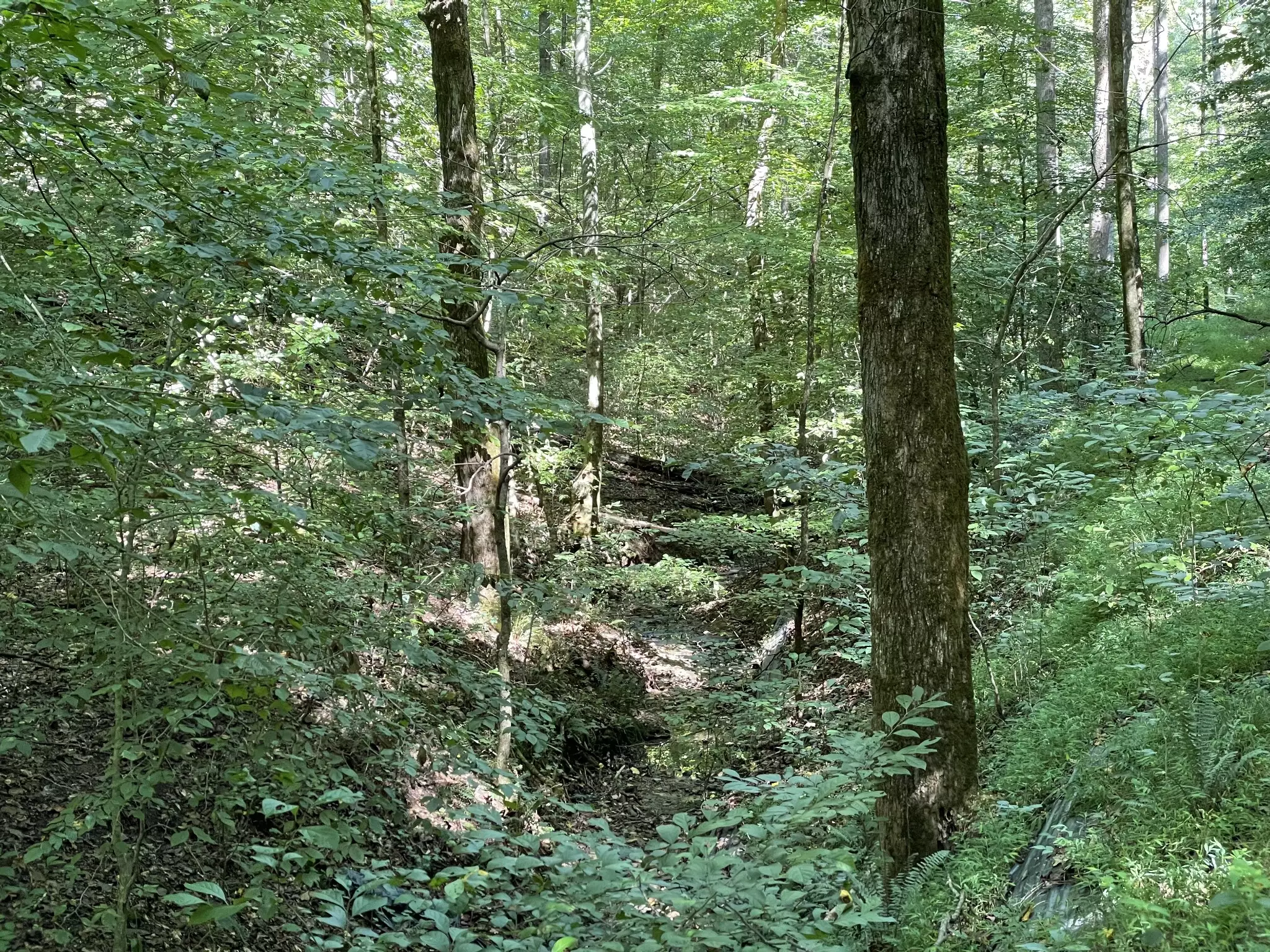 740 Hogans Branch Rd, Hendersonville, TN  37075