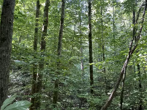 740 Hogans Branch Rd, Hendersonville, TN  37075