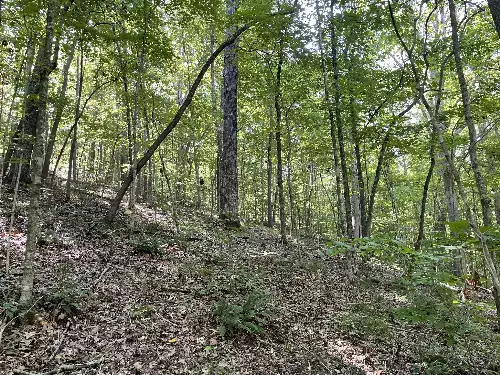 740 Hogans Branch Rd, Hendersonville, TN  37075