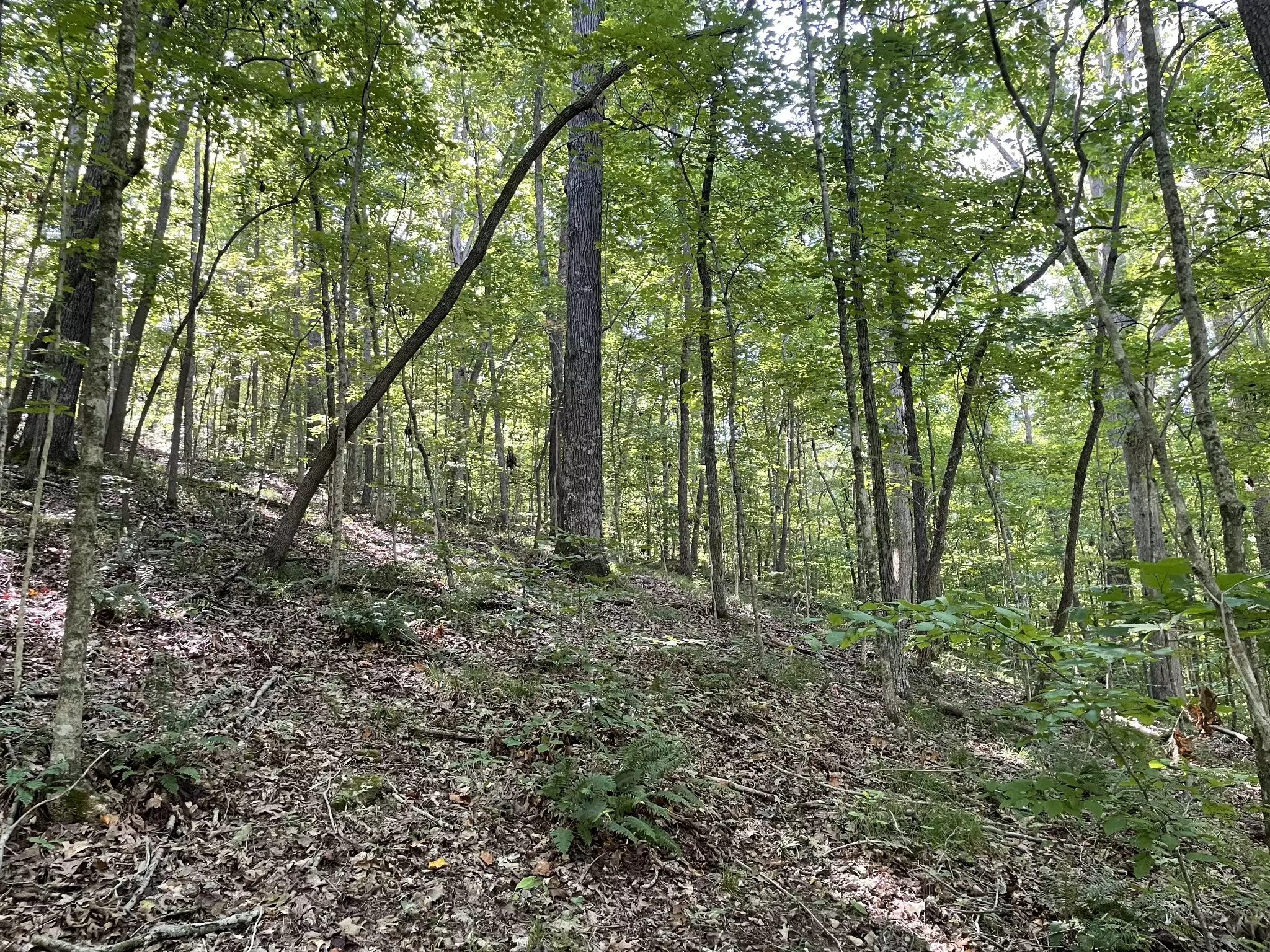 740 Hogans Branch Rd, Hendersonville, TN  37075