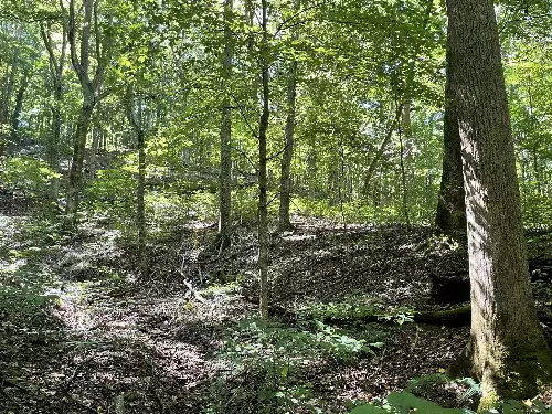 740 Hogans Branch Rd, Hendersonville, TN  37075