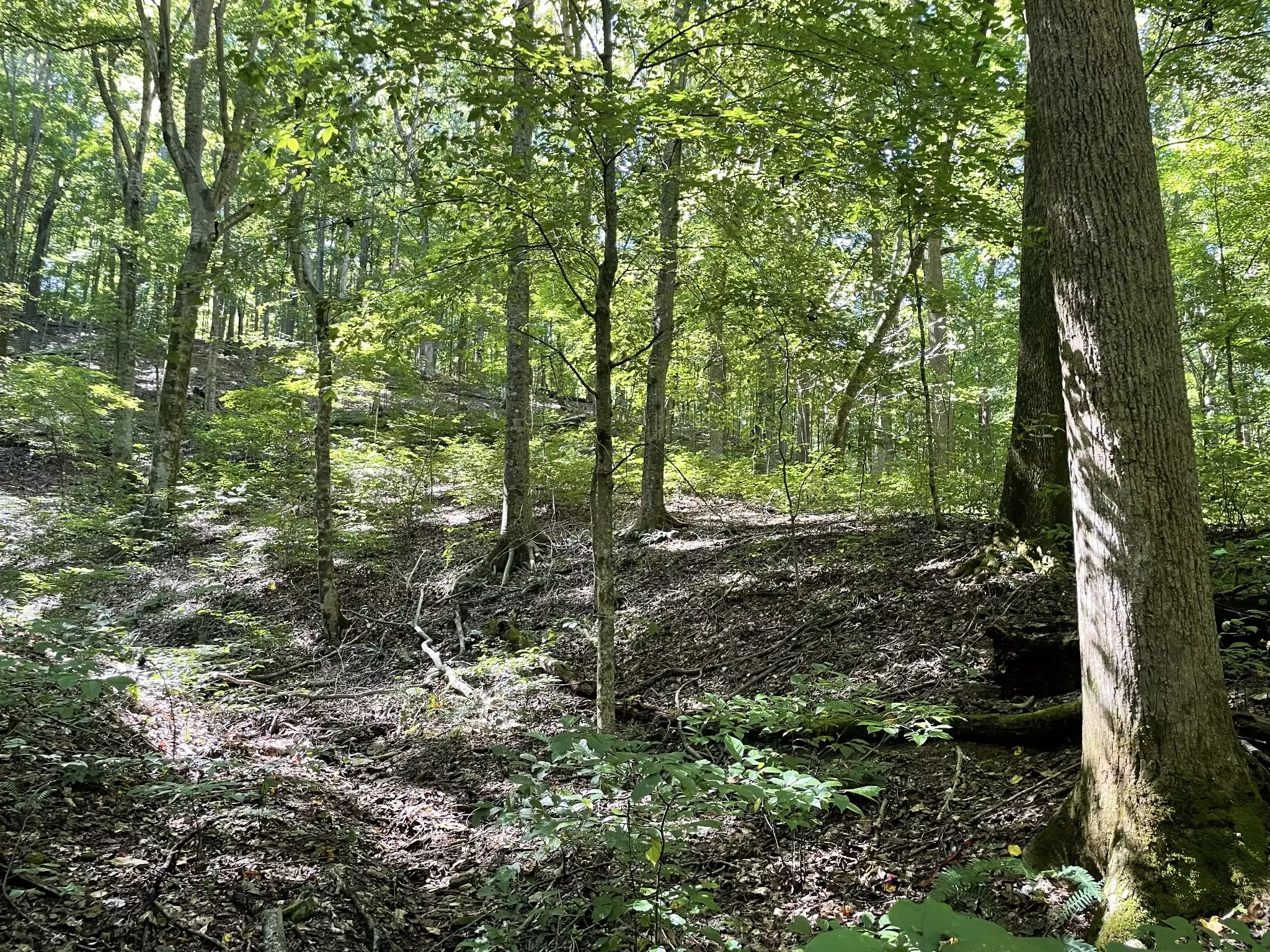 740 Hogans Branch Rd, Hendersonville, TN  37075