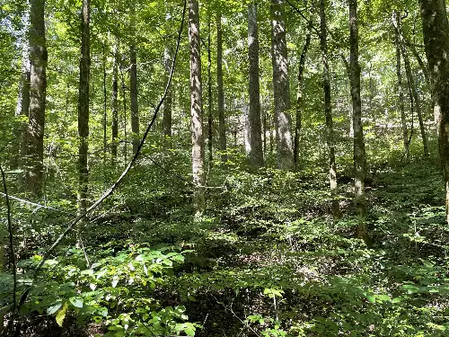 740 Hogans Branch Rd, Hendersonville, TN  37075