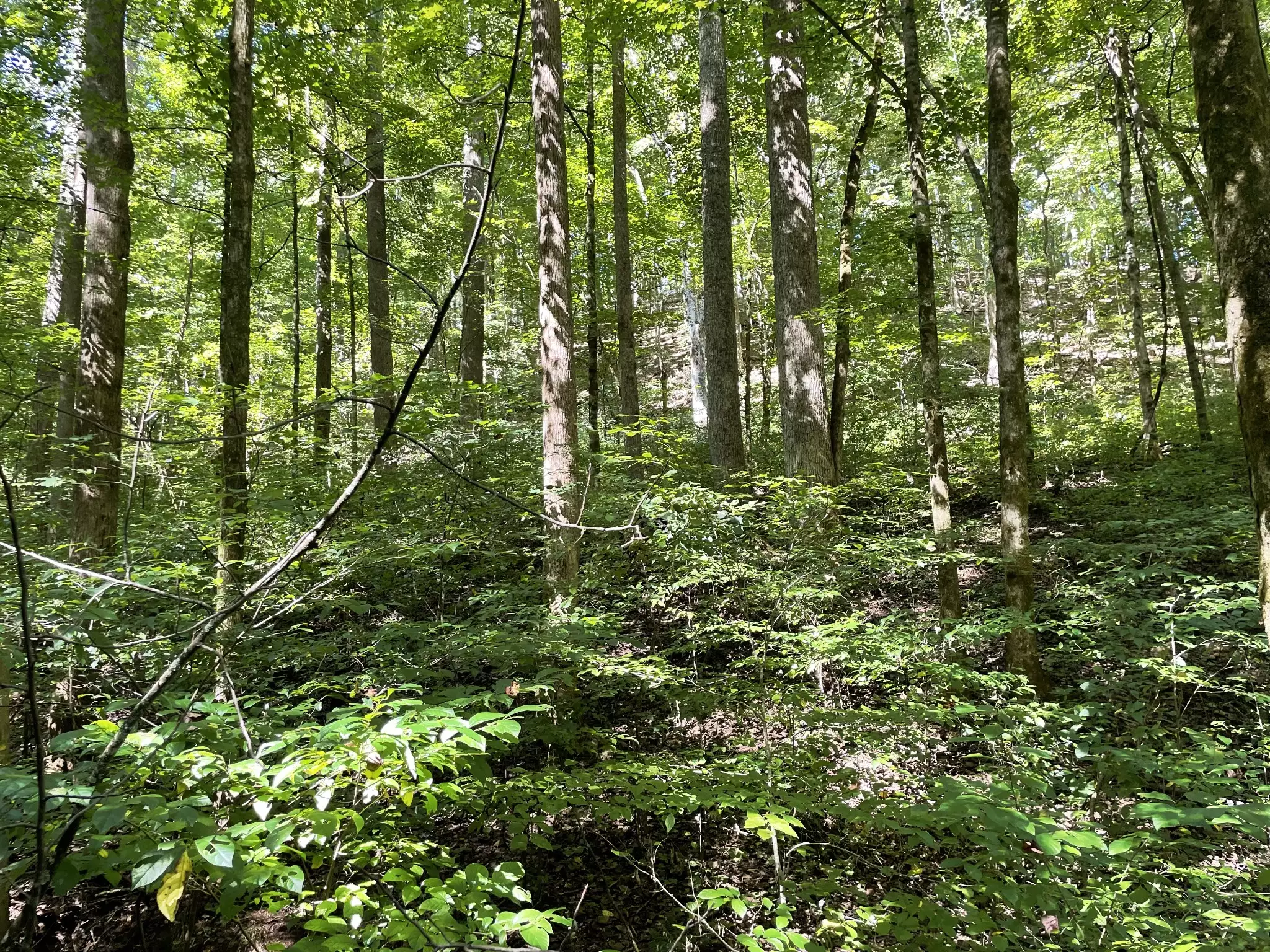 740 Hogans Branch Rd, Hendersonville, TN  37075