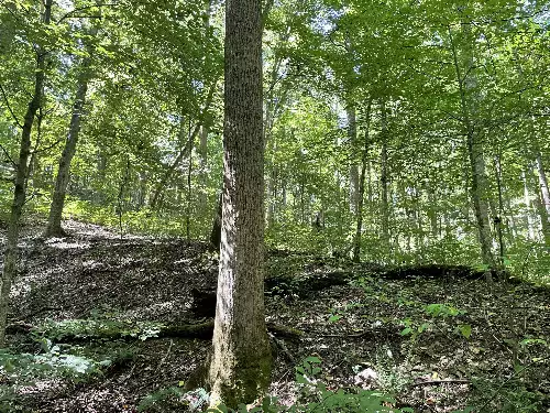 740 Hogans Branch Rd, Hendersonville, TN  37075